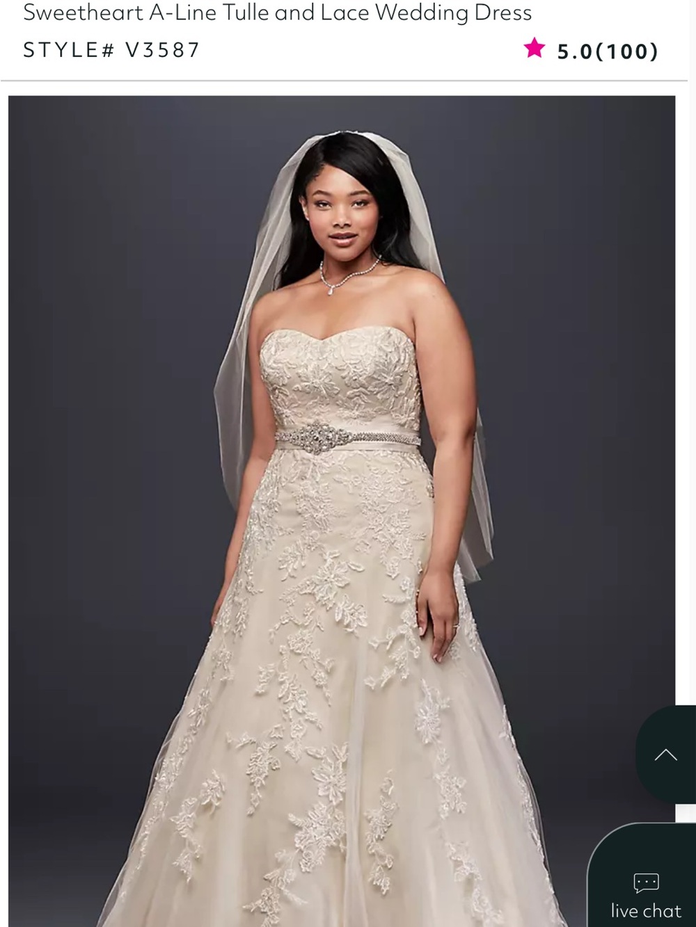 David's Bridal Ivory/Champagne Bridal Gown - Picture 10 of 11